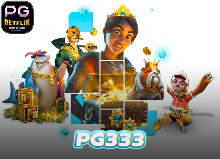 Read more about the article PG333